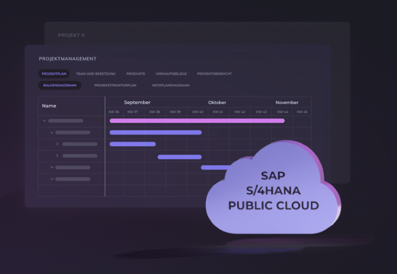 Mit SAP S/4HANA Public Cloud Prozesse optimieren und automatisieren